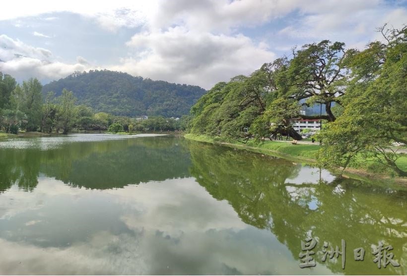 雨水不断 太平湖水盈满美景回来了