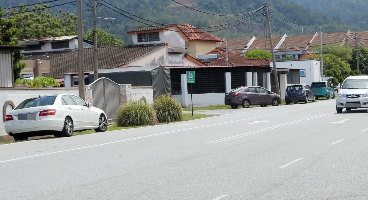 騎摩托婦女被狗追翻車斃命 怡市長：已捕抓2野狗