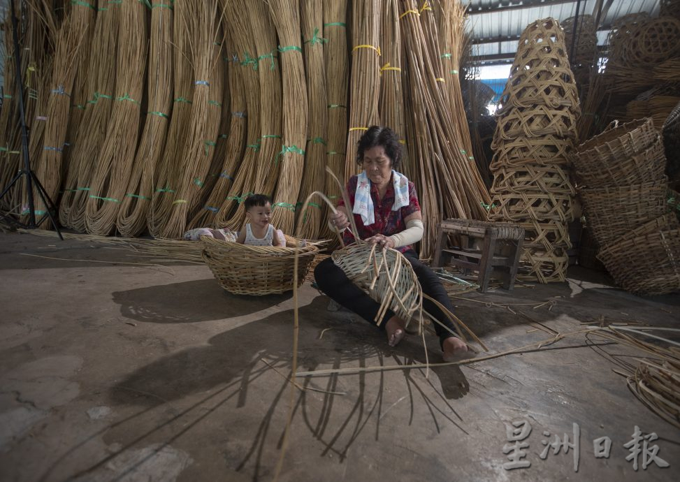 星角摄／图说大马：不起眼的藤条也能编织出春天！!