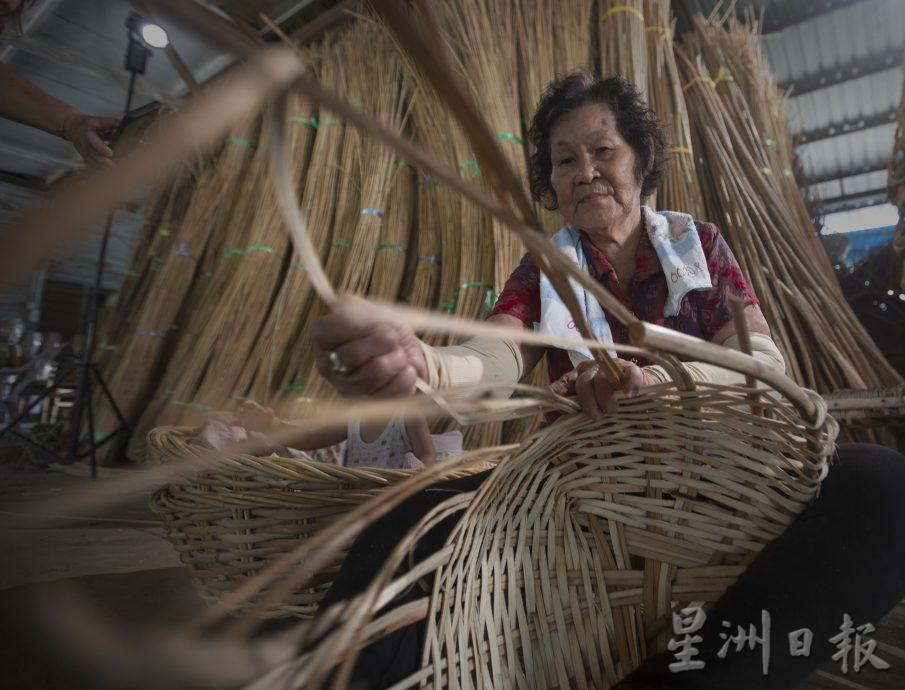 星角摄／图说大马：不起眼的藤条也能编织出春天！!