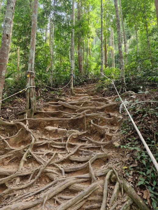 （8月9日刊）半岛心旅行 | 探索居銮邂逅自然  南峇山壁画街乐趣多