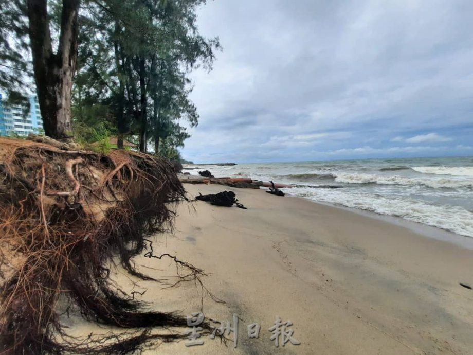 （古城封面主文）公主滩海蚀日益严重