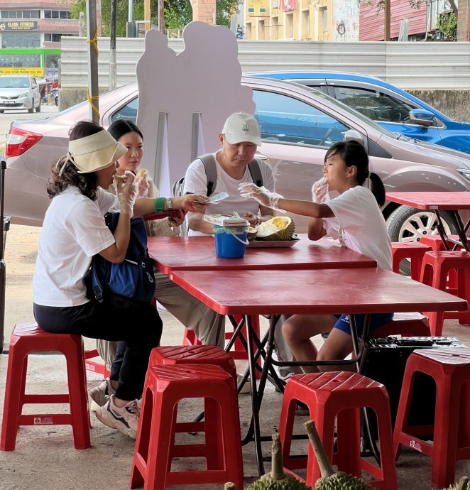 （古城封面主文）各地轮产接力·榴梿飘香至年底