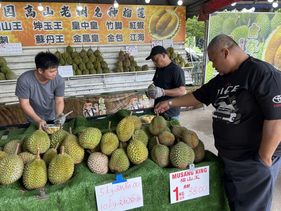 （古城封面主文）各地轮产接力·榴梿飘香至年底