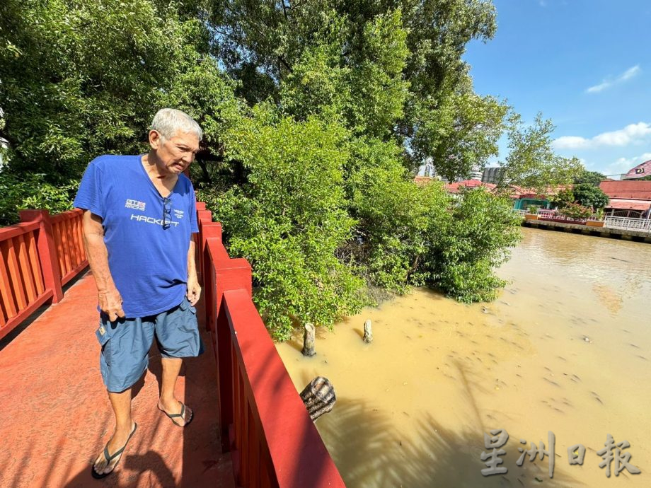 （古城封面主文）甲河浮現大量死魚 劉志俍促環境局調查