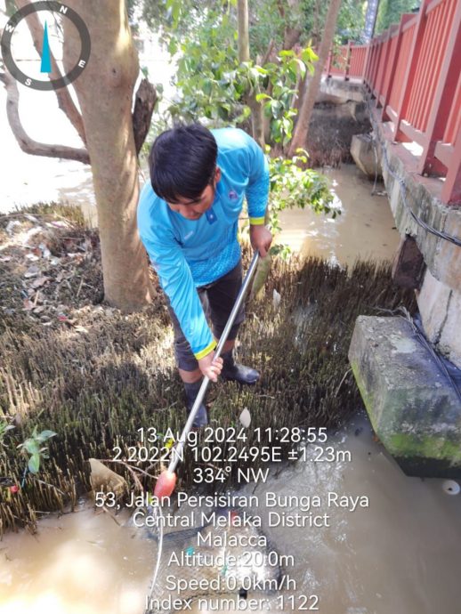 （古城封面副文）死魚浮現甲河 當局打撈一噸魚屍和垃圾