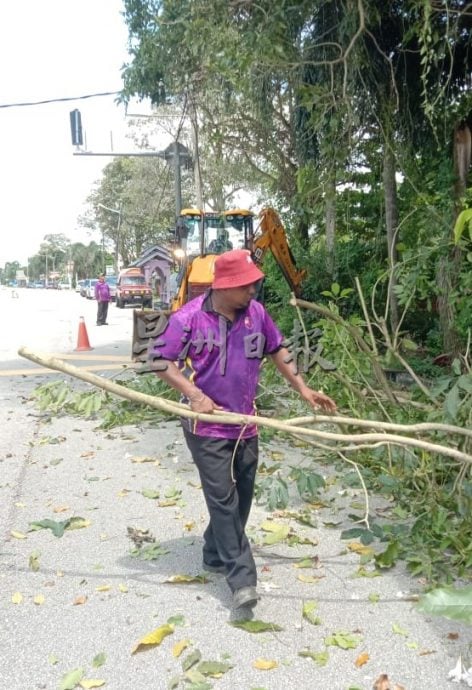 （古城第六版主文）万里茂诊所至旧镇道路树木茂盛存在安全隐患