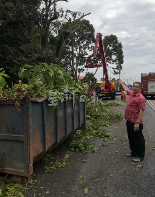 （古城第六版主文）万里茂诊所至旧镇道路树木茂盛存在安全隐患