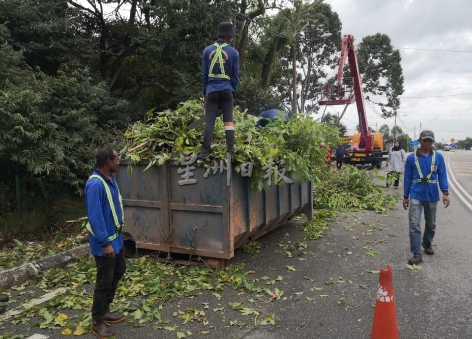 （古城第六版主文）万里茂诊所至旧镇道路树木茂盛存在安全隐患