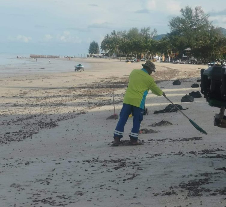 （大北马）浮罗交怡真浪海滩出现大量贝类搁浅岸上。