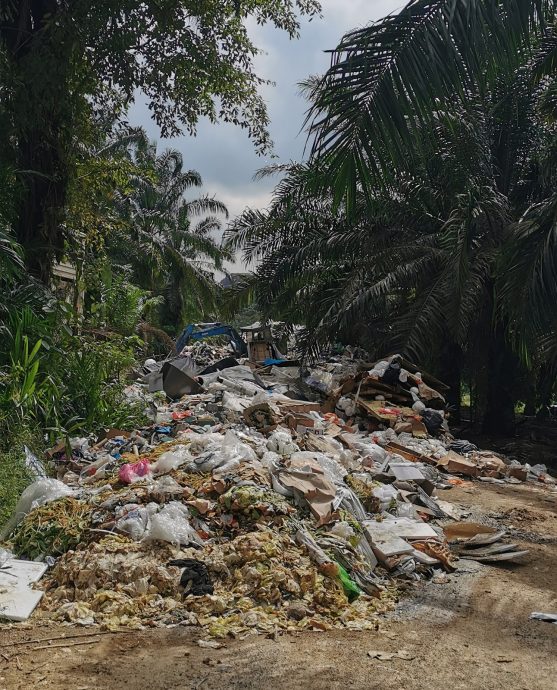 （已簽發）柔：**版二頭**甘榜烏魯埔來園主嘆 油棕園現垃圾山阻斷通路