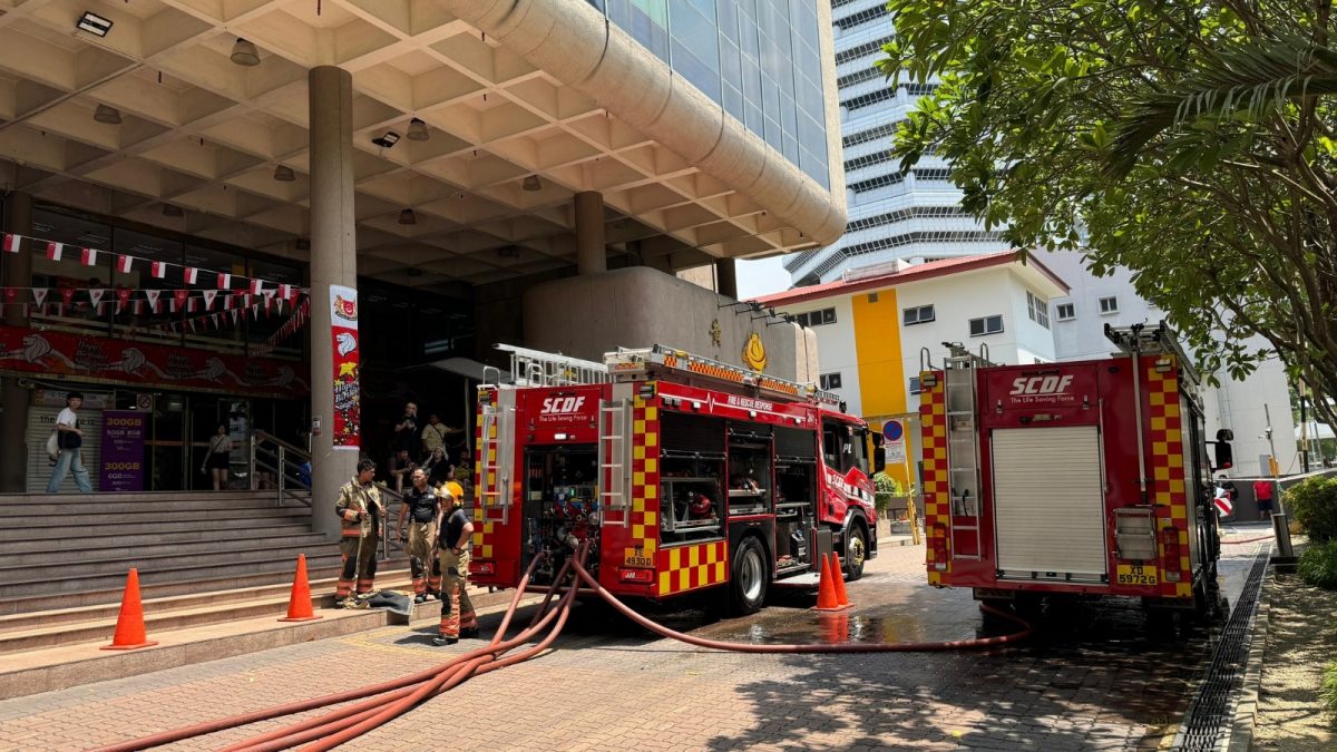 （已簽發）柔：獅城二三事：20輛新車放停車場  傳爆炸巨響後起火燒殆盡