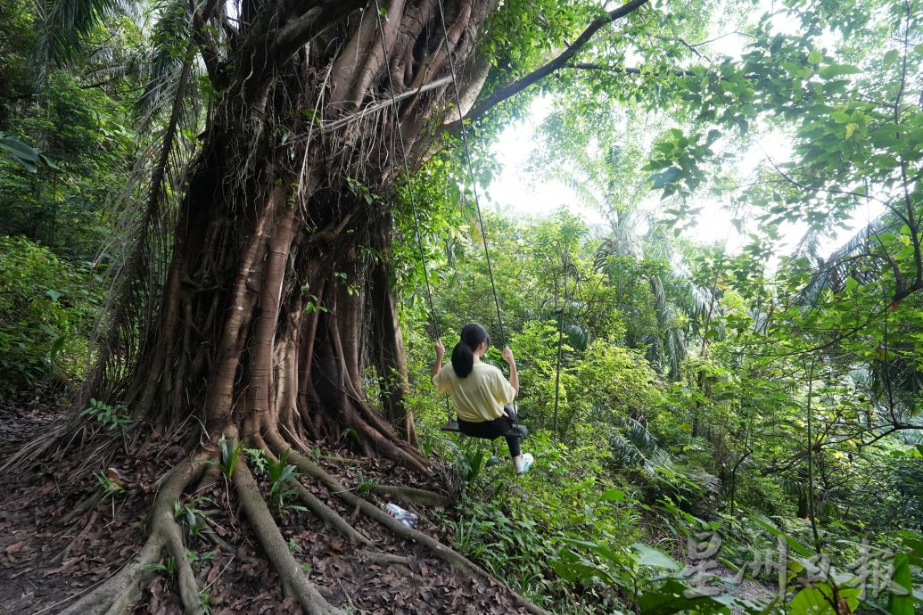 半島新旅行/到汝來與大自然近距離接觸 放鬆身心 