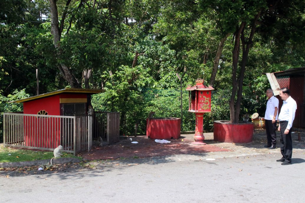 NS芙蓉：荒废化粪池成野猴繁育基地；成群“大圣闹民宅”