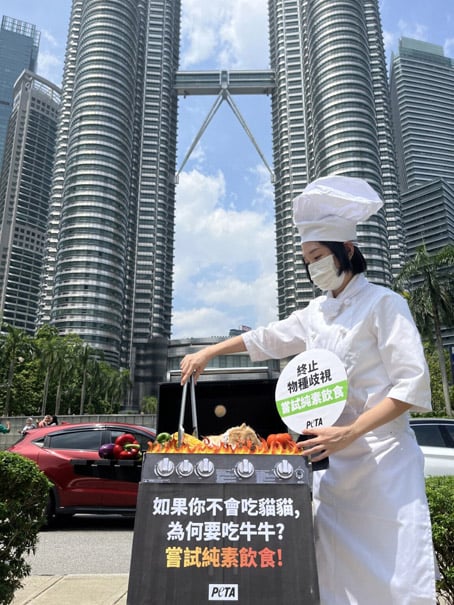 14幅大型公益廣告為動物發聲：善待動物，別欺負它們