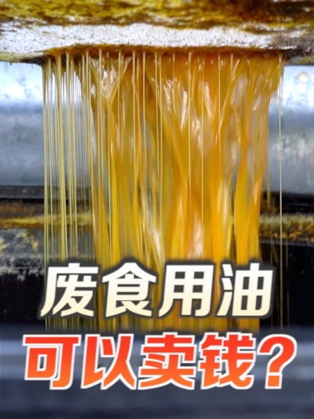 炸过食物的油可卖钱 但你可知道它们最终去了哪？