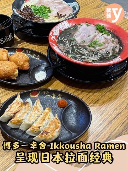 Hakata Ikkousha 博多一幸舍拉面探店