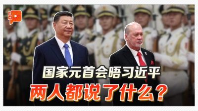 国家元首会晤习近平 两人说了啥？