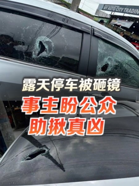 露天停車被砸鏡 事主盼公眾助揪真兇