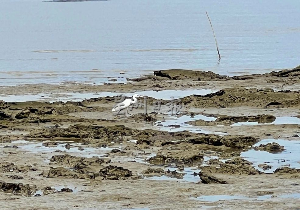 【星角攝】：海水為你分開的陸連島