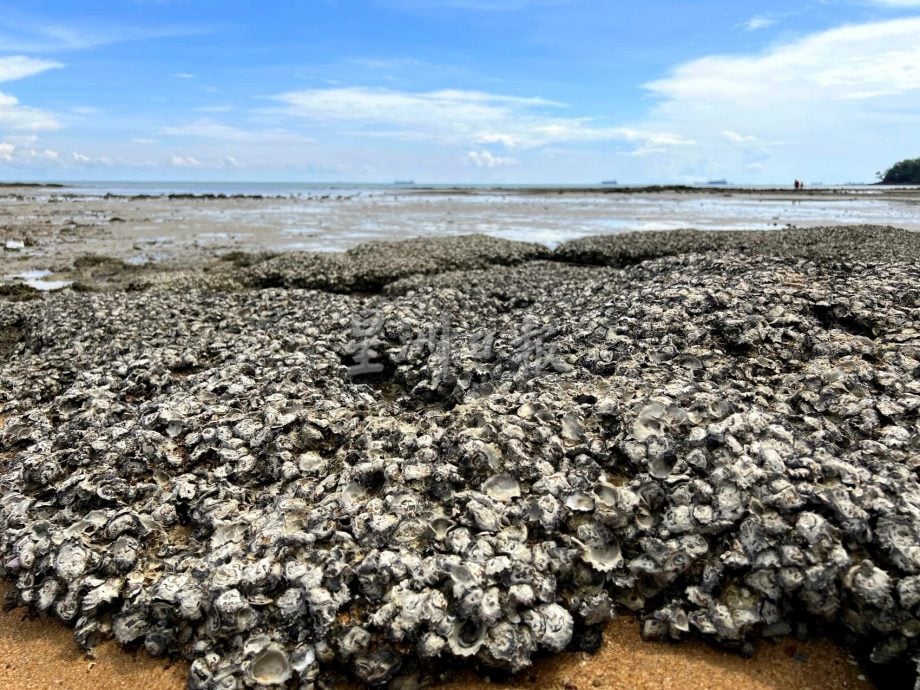 【星角摄】：海水为你分开的陆连岛