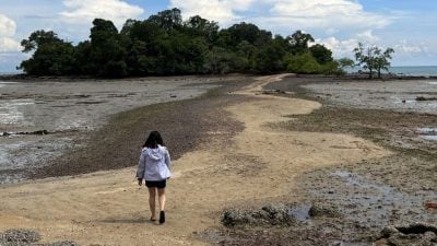 海水為你分開的陸連島