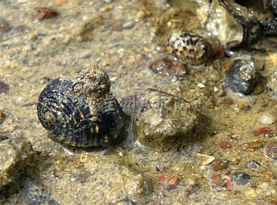 【星角摄】：海水为你分开的陆连岛