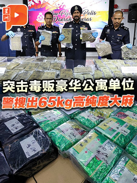 突击毒贩豪华公寓单位 警搜出65kg高纯度大麻