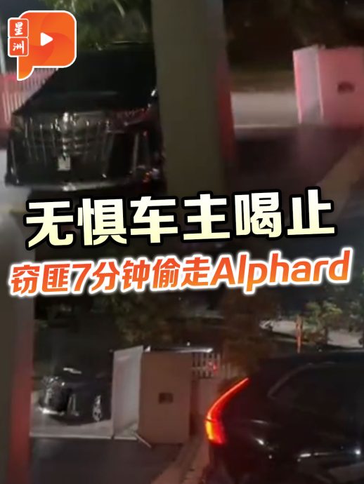 无惧车主喝止 窃匪7分钟内偷走Alphard