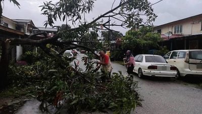 今清晨暴风雨 致巴生北港多地树倒