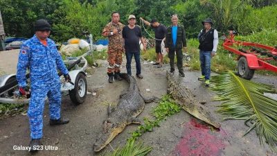 疑遭鳄鱼攻击 35岁友族男子失踪