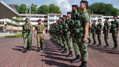 访军人中心检阅仪仗队．皇太子观看新加坡军备