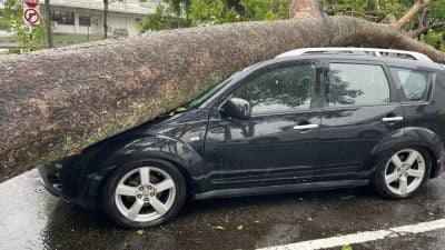 倒树砸车伤人 掀屋顶．狂风暴雨侵袭汶多地