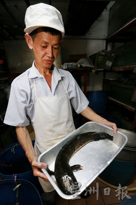 【一日五餐之絕味晚餐篇／萬里望華仔酒家】雞皮底下暗藏玄機的金龍脆皮雞