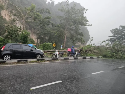 下午一場豪雨 務邊路倒樹壓中車頭