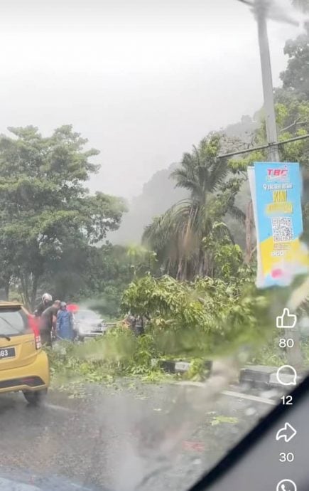 下午一场豪雨 务边路倒树压中车头