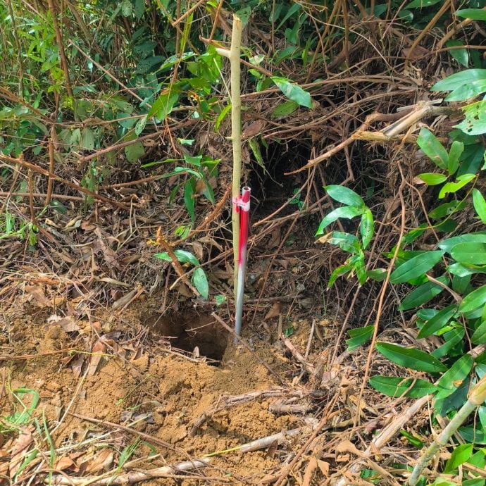 東:吉蘭丹廣東會館義山地段被60多戶人家侵佔，該會本月將正式入稟法庭，以捍衛會館的權益。