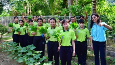 配合學校轉型計劃   啟文暹猛華小推環保農耕