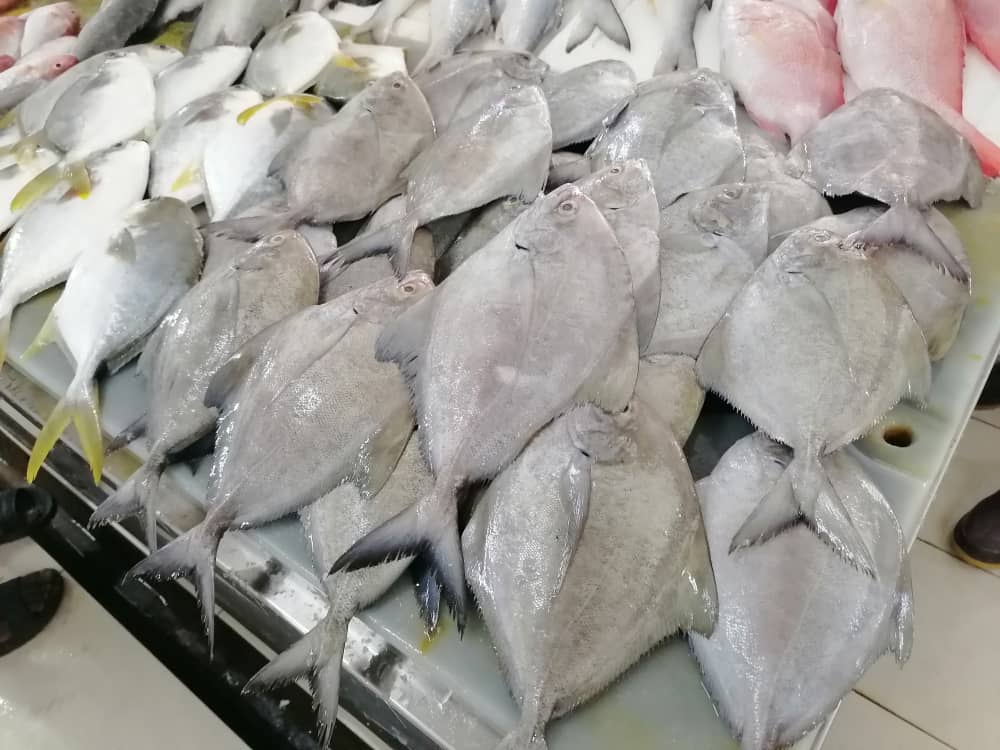 東：大風浪衝擊魚獲減產，關丹大巴剎半數魚檔休業。