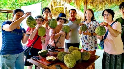 學校假期遊客湧入勞勿   少數度假村有榴槤招待