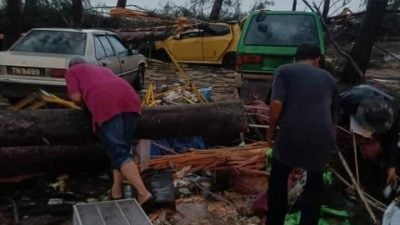 暴风雨袭海滩  树倒压死女商贩