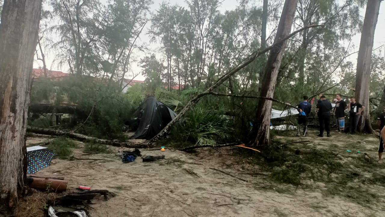 東：狂風暴雨至樹倒釀壓死人意外，民眾憂慮栽種在市區及住宅區的樹木存隱憂，使得州議員服務中心及關丹市政廳一天內接獲數十宗有關要求砍樹及樹倒通報，應接不暇。