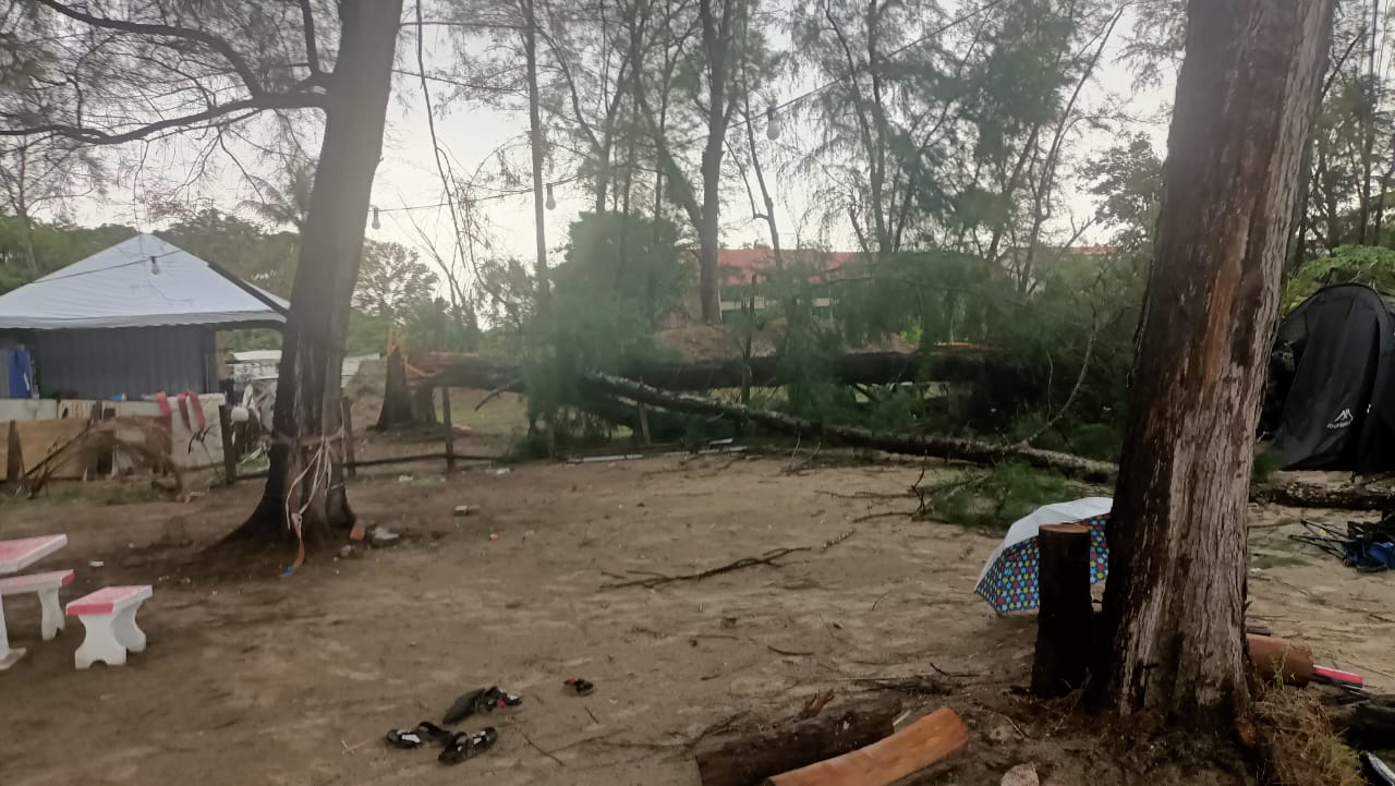 东：狂风暴雨至树倒酿压死人意外，民众忧虑栽种在市区及住宅区的树木存隐忧，使得州议员服务中心及关丹市政厅一天内接获数十宗有关要求砍树及树倒通报，应接不暇。