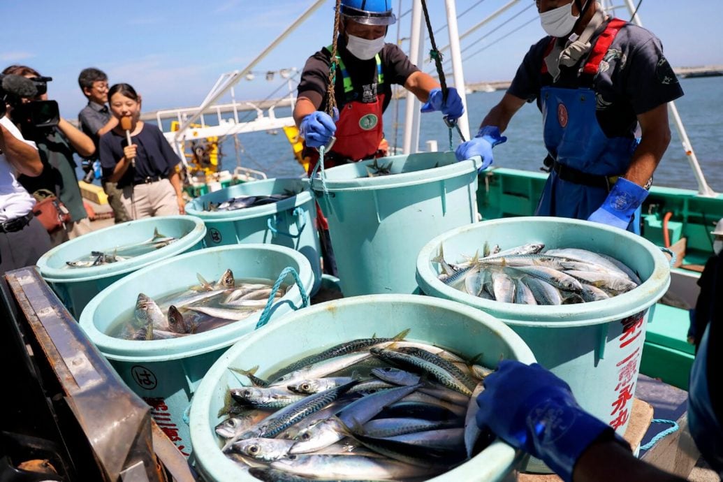 中國據報將參與監測福島核廢水 日本水產品有望解禁