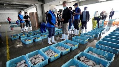 中日达共识 日同意中独立采样　中拟逐步解禁日本水产进口