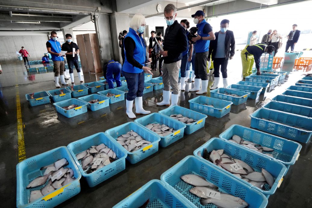  中日達共識 日同意中獨立採樣　中擬逐步解禁日本水產進口 