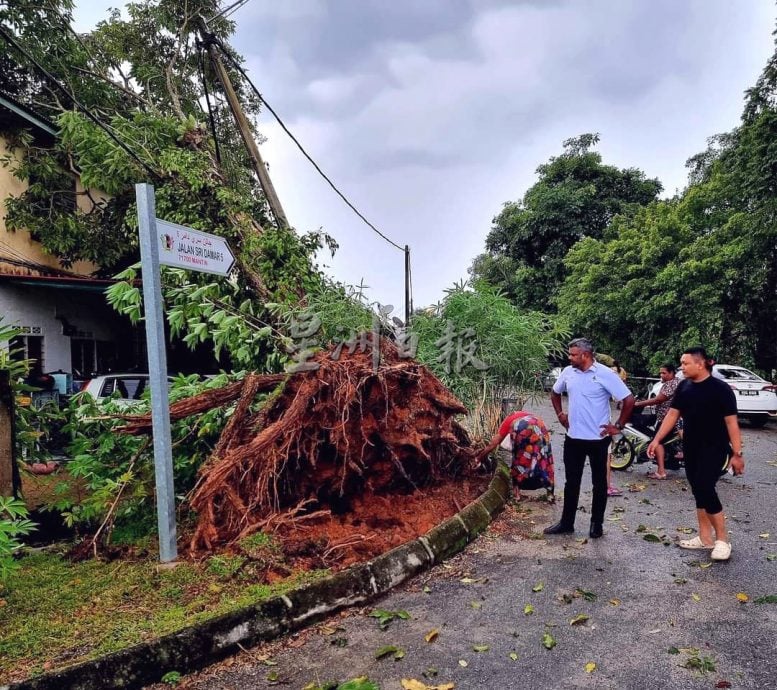 供星洲網：半小時狂風暴雨；文丁區爆發15年來最嚴重風災；逾百戶災黎屋頂被掀翻