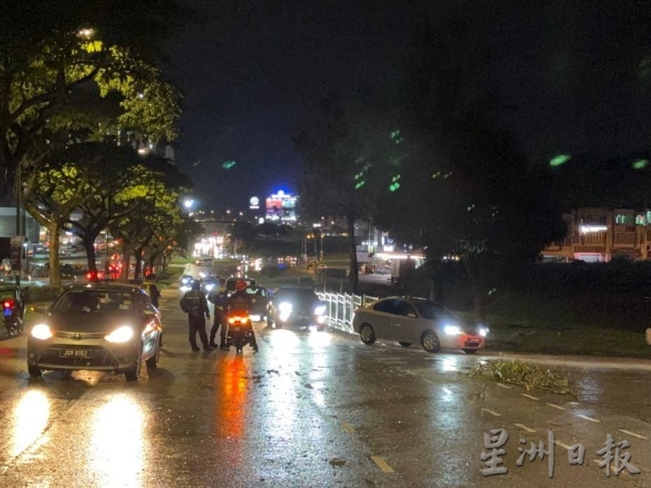 全國：晚間暴雨導致樹倒事故 士乃機場路道路交通中斷