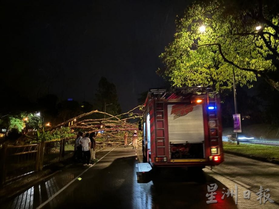 全國：晚間暴雨導致樹倒事故 士乃機場路道路交通中斷