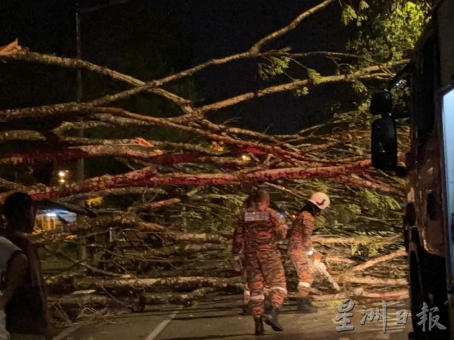 全国：晚间暴雨导致树倒事故 士乃机场路道路交通中断